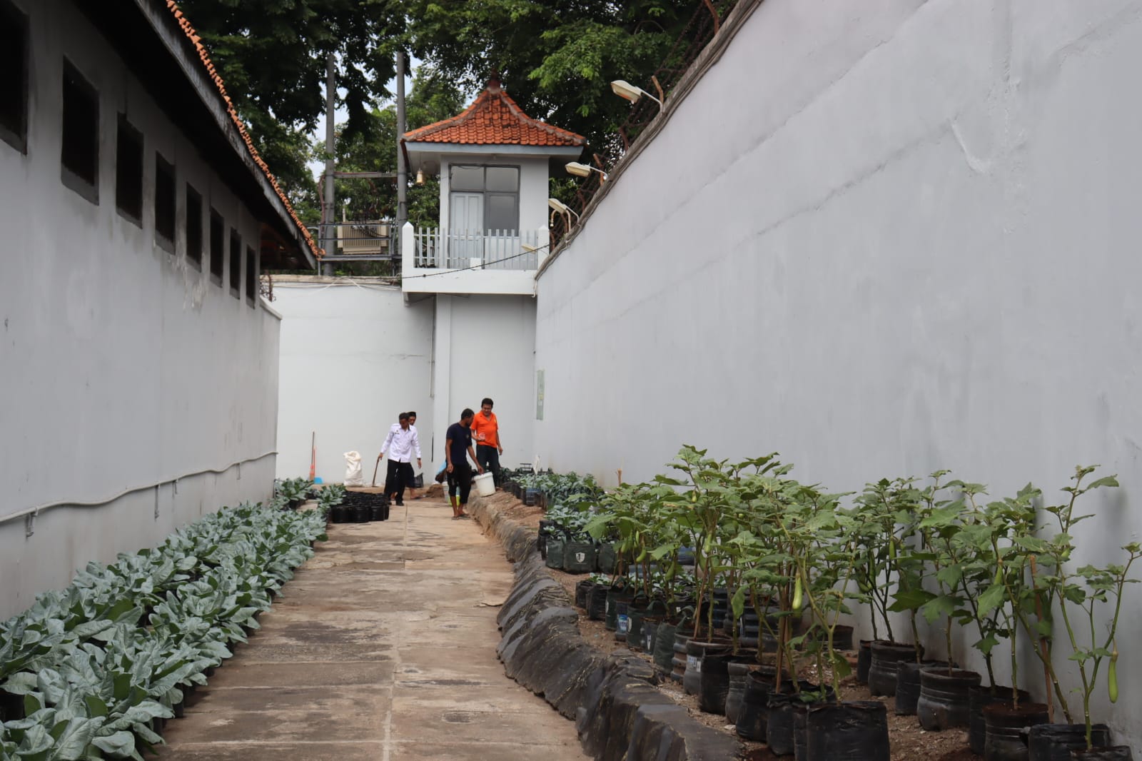 Kegiatan 5